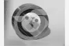 Натяжний ролик Renault Megane, Clio, Kangoo, Logan 1.4/ 1.6 (96-) Hutchinson HUTCHINSON HTG110