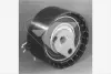 Натяжной ролик Renault Clio, Megane, Logan, Kangoo 1.4; 1.6 16V Hutchinson HUTCHINSON HTG151
