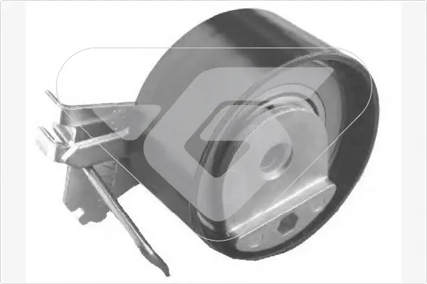 Натяжний ролик Citroen C3, C4/Peugeot 206, 307 1.4 16V (03-) Hutchinson HUTCHINSON HTG317 (фото 1)