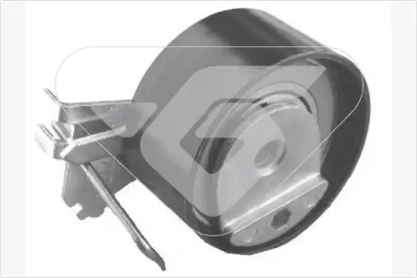 Натяжний ролик Citroen C3, C4/Peugeot 206, 307 1.4 16V (03-) Hutchinson HUTCHINSON HTG317