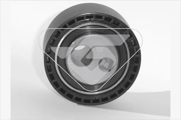Натяжний ролик Peugeot 206, 807/Fiat Ducato 1.9D/ 2.2HDi (98-) Hutchinson HUTCHINSON HTG49 (фото 1)