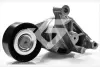 Ролик натяжний 2,0 TDI VW Golf (06-10), Passat (05-10), Caddy (04-10) Hutchinson HUTCHINSON T0251 (фото 1)