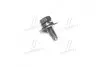 Болт (вир-во Mobis) HYUNDAI/KIA/MOBIS 1125406166B (фото 1)