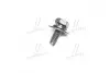 Болт (вир-во Mobis) HYUNDAI/KIA/MOBIS 1125406166B (фото 2)