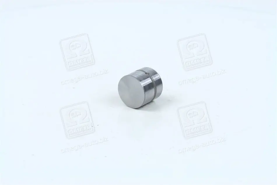 Гідрокомпенсатор HYUNDAI/KIA/MOBIS 22231-37100 (фото 1)