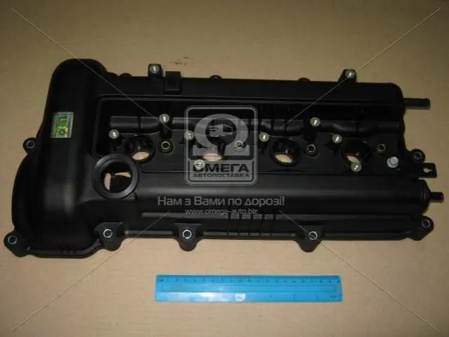 Кришка клапанів (вир-во Mobis) HYUNDAI/KIA/MOBIS 224102B000 (фото 1)