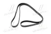 Ремінь поліклиновий Hyundai Tucson/Kia Sportage 04- (вир-во Mobis) HYUNDAI/KIA/MOBIS 25212-37182 (фото 1)