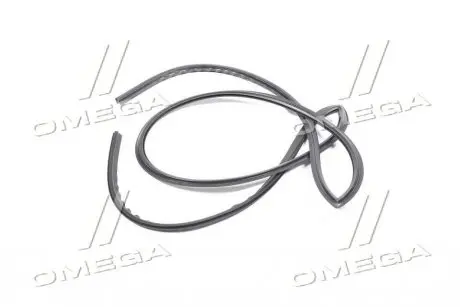 Ущільнювач скла лобового Hyundai Ix35/tucson 09- (Mobis) HYUNDAI/KIA/MOBIS 861302S000