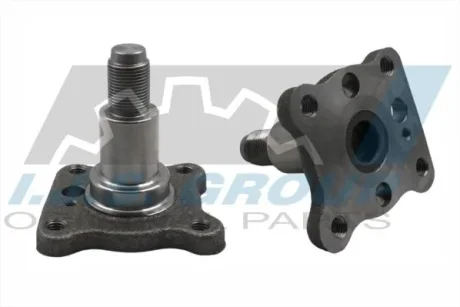 Маточина (задня) Ford Fiesta/Focus 98-08 IJS GROUP 10-2034