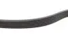 Комплект ременя генератора Audi A2/Seat Ibiza/Skoda Fabia/VW Golf/Polo 1.4/1.6/1.6FSI 97- (6PK 1078) INA 529 0103 10 (фото 3)
