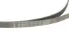 Комплект ременя генератора BMW X1 (F48) 15- B38 A15 INA 529 0516 20 (фото 4)