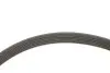 Комплект ременя генератора Citroen Berlingo/Peugeot Partner 1.6HDI/Fiat Scudo 1.6D (6PK1708) INA 529 0533 10 (фото 6)