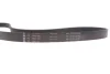 Комплект ременя генератора BMW M3 (G20/G80/G28)/X3 M (G01/F97/G09)/X4 M (G02/F98) 19- S58B30 INA 529 0595 10 (фото 9)