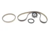 Комплект ГРМ Ford Focus III/Fiesta VI/VII 1.0 12- INA 530 0960 10 (фото 1)