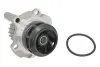 Насос водяний VW, AUDI, SEAT, SKODA Ruville 65412 (Вир-во INA)
