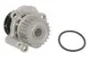 Насос водяний VW, AUDI, SEAT, SKODA Ruville 65412 (Вир-во) INA 538 0038 10 (фото 2)