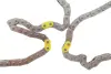 Комплект ланцюга ГРМ Toyota Avensis 00-08/Corolla 01-09/Rav 4 1.8 00-05 INA 559 1805 30 (фото 3)