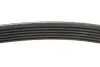 Ремінь генератора Citroen Berlingo/Peugeot Partner 1.6HDI (6PK800) INA FB6PK800 (фото 3)