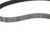 Ремінь генератора Citroen Berlingo/Peugeot Partner 1.6HDI (6PK800) INA FB6PK800 (фото 4)