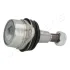 Шарнир JAPANPARTS BJL06 (фото 3)