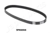Ремень JAPANPARTS DV5PK0690 (фото 1)