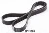 Ремень JAPANPARTS DV6PK1305 (фото 1)