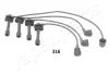 Комплект электропроводки JAPANPARTS IC316 (фото 1)