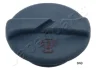 VW Пробка расширительного бачка Caddy 1,9D -04. JAPANPARTS KH040 (фото 1)
