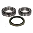 Комплект подшипника JAPANPARTS KK19001 (фото 1)