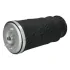 Japan Parts MMAS019 Пневморесора, ходова частина JAPANPARTS MM-AS019 (фото 1)