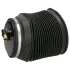 Japan Parts MMAS057 Пневморесора, ходова частина JAPANPARTS MM-AS057 (фото 1)