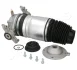 Japan Parts MMAS097 Пневморесора, ходова частина JAPANPARTS MM-AS097 (фото 1)