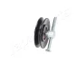 MITSUBISHI Натяжной ролик L 200 07- Pajero Sport 2,5TD/DI-D 08- JAPANPARTS RP524 (фото 2)