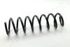 Пружина задняя F10 5-Series JAPANPARTS ZC6172A (фото 1)