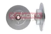 Гальмiвнi диски з пiдшипником фарбованi RENAULT MEGANEIII 08-/SCENIC/GRAND SCENIC III 09- KAMOKA 1031064 (фото 1)