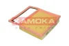 Фільтр повітряний двигуна KAMOKA F252901 (фото 2)