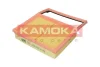 Фільтр повітряний двигуна KAMOKA F252901 (фото 3)