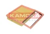 Фільтр повітряний двигуна KAMOKA F252901 (фото 4)
