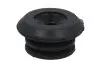 Відбійник амортизатора KAP (KoreaAutoParts) A80012D (фото 1)