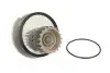 Насос охолоджуючої рідини, з ущільненням DAEWOO ESPERO, LANOS, NEXIA 1.5/1.6 10.93- KAP (KoreaAutoParts) D10003D (фото 2)