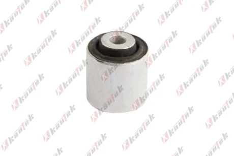KAUTEK BMW С/блок важеля підвіски задн. X3/F25, X4/F26 Kautek BMBS166