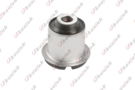 KAUTEK-TEKNOROT FORD USA С/блок переднього важеля F-150 4.6 08-10, F-150 Standard Cab Pickup 6.2 13- Kautek FDBS230