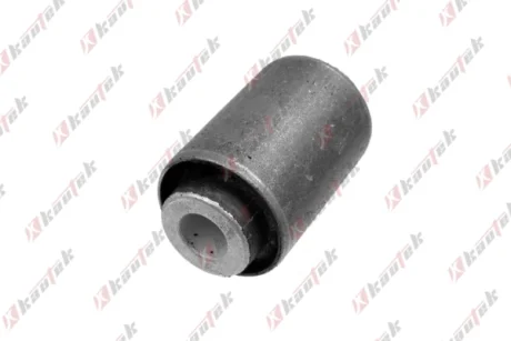 KAUTEK-TEKNOROT DB С/блок заднего рычага W124/201/202/210 Kautek MEBS172