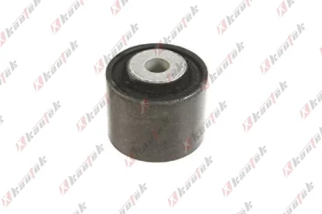 KAUTEK-TEKNOROT DB С/блок заднего рычага W203 00-07 Kautek MEBS180