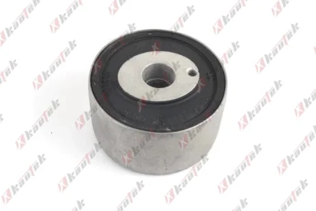 KAUTEK DB С/блок заднього важеля W202 Kautek MEBS213