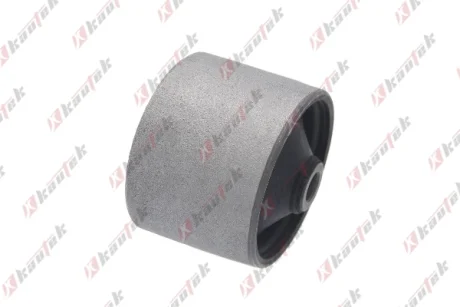 KAUTEK NISSAN С/блок балки моста задн. CEFIRO III 3.0 00-03, MAXIMA / MAXIMA QX V (A33) 3.0 V6 24V 00-03 Kautek NIBS123