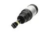 PARTS SAS10020 Пневматична амортизаційна стійка KAVO SAS-10020 (фото 1)