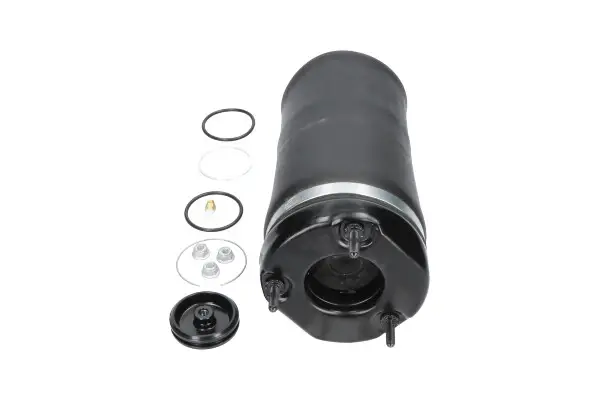 PARTS SAS10031 Пневморесора, ходова частина KAVO SAS-10031 (фото 1)