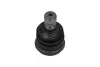 Кульова опора (шарнір) PARTS KAVO SBJ-3017 (фото 3)