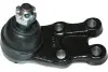Кульова опора (шарнір) PARTS KAVO SBJ-3021 (фото 1)